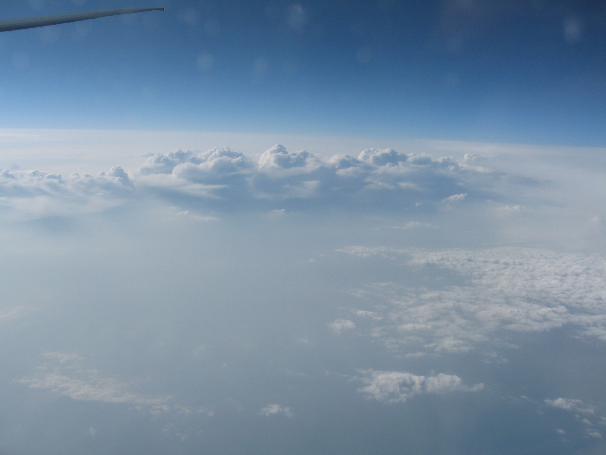 Pacific Coast 498.jpg